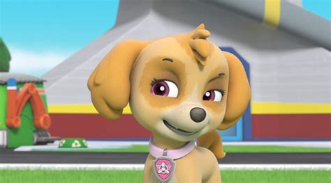 Skye Skye Paw Patrol Photo 41148645 Fanpop