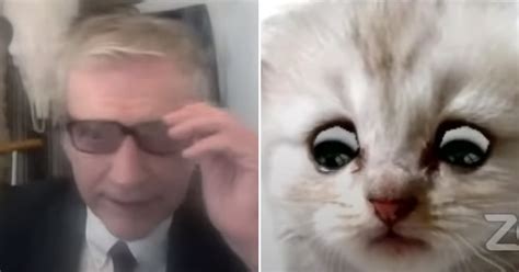 A lawyer in texas found himself transformed into a cat during a live zoom court hearing, and the aftermath is incredible. Lawyer Gets Trapped as 'Cat' During Zoom Court Hearing in ...