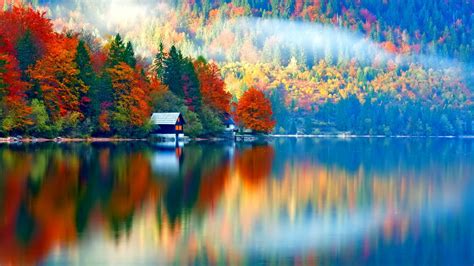 Nature Landscape Trees Forest Fall Colorful Water Lake Slovenia