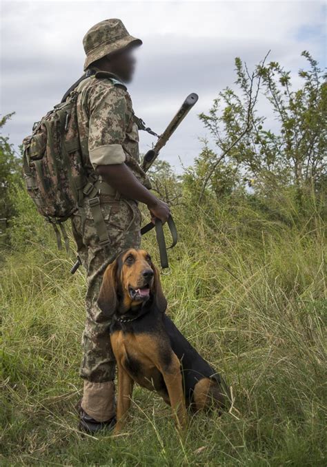 K9 National Project Sanparks Honorary Rangers