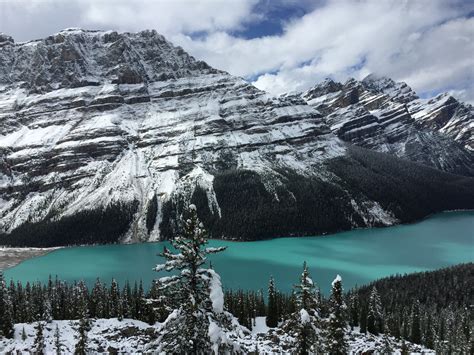 Touring The Icefields Parkway From Banff To Jasper Just A Colorado Gal