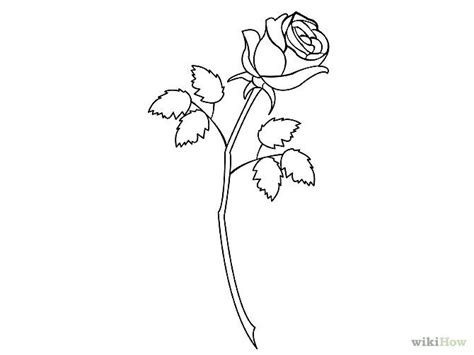 Gallery For > How To Draw Rose Step By Step | Roses ... How to draw flower bunch step by step.