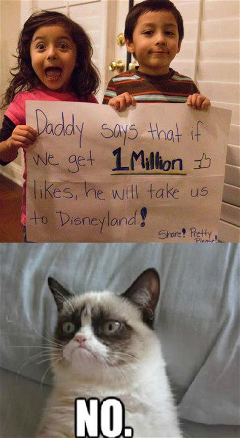 Grumpy Cat Says No To Disney World Grumpy Cat Know Your Meme