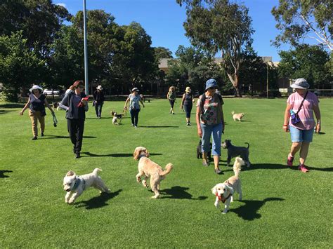 Canberra dog off leash areas - Canberra dog walks