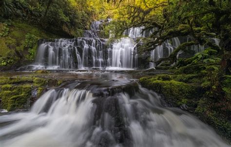 Wallpaper Forest River Waterfall New Zealand Cascade New Zealand