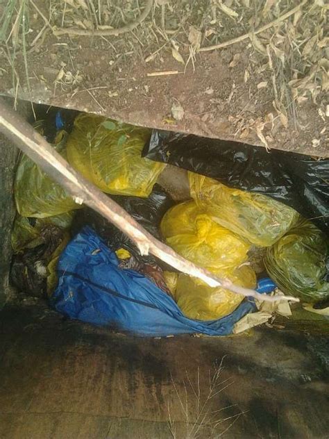 Over 30 Rotten Bodies Dumped At Tafo