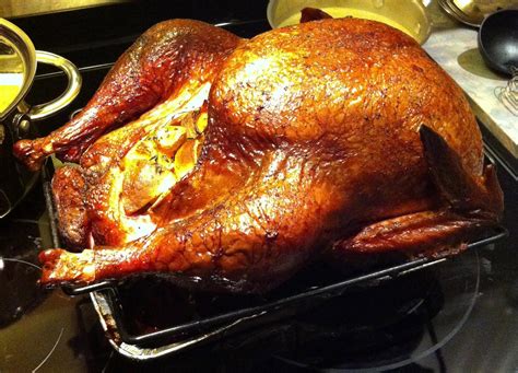 Here, we teach you how to cook a thanksgiving turkey. Cooked Turkey - Big Green Joe