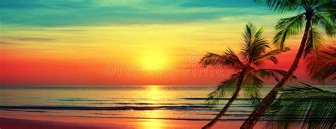 Beautiful Sunset Beach Landscape Exotic Tropical Island Nature Blue