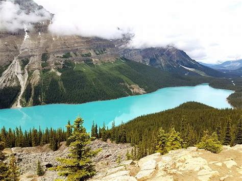Peyto Lake In Alberta Canada Is Famous For Its Unique Aqua Shade In