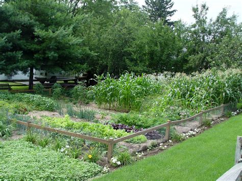 The biggest challenge in june is making sure to keep plants watered evenly. Garden Housecalls - Grow Vegetables in the Shade? It's ...