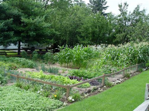 Potatoes grow under the ground and are vegetables that grow in shade. Garden Housecalls - Grow Vegetables in the Shade? It's ...