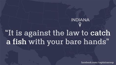 20 Most Stupid Laws In The Us Bored Panda