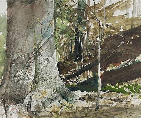 Andrew Wyeth 1917 — 2009 Usa Beech Tree Watercolor 14 X 18 In 35