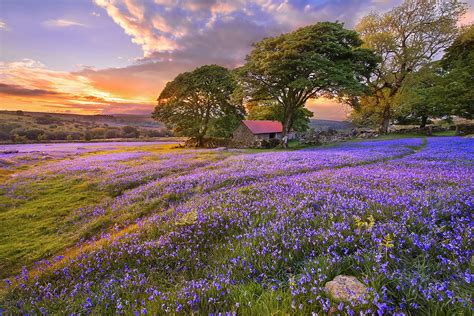 Fonds Decran 2048x1367 Photographie De Paysage Champ Lavande Levers Et