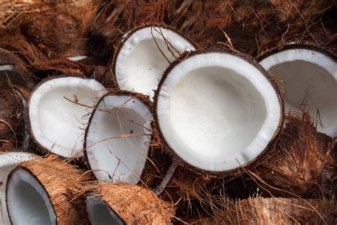 From Husk To Kernel How We Use Coconuts