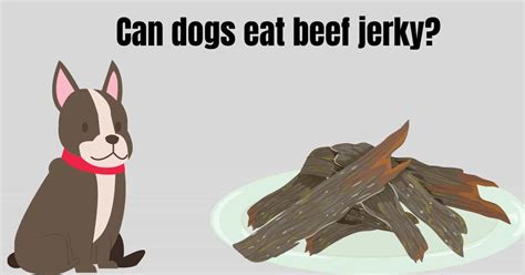 Facebook twitter reddit pinterest email. Can dogs eat beef jerky? Complete Guide. - Serve Dogs