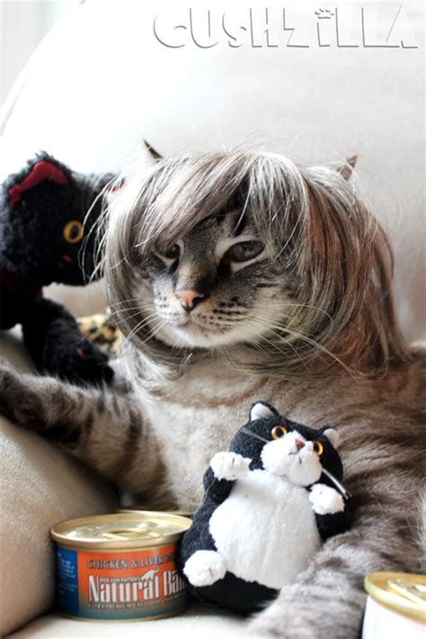 Cats And Dogs That Totally Look Like Someone Famous From