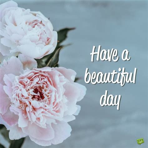 En have a nice day! 34 Brilliant Good Morning Quotes to Make your Day!