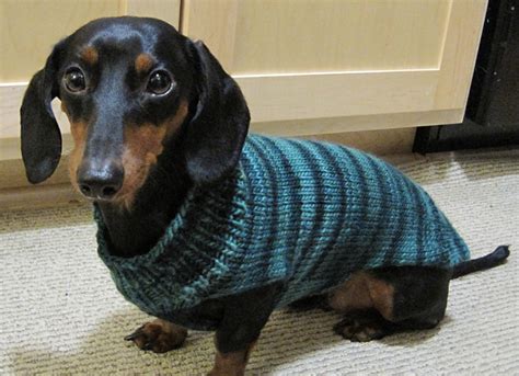 Easy Dog Sweaters Pattern By Talking Tails Dachshund Dog Sweaters