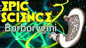 Borborygmi, -, Epic, Science, 7