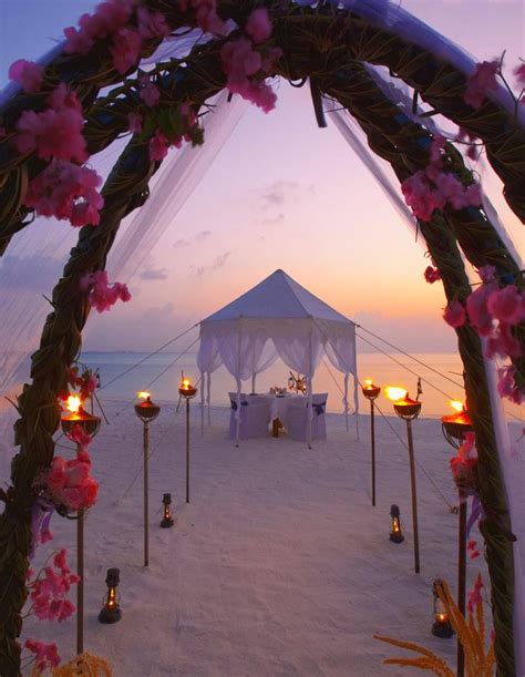 216 Best Beach Wedding Ceremony Ideas Images On Pinterest Beach