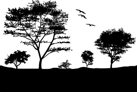 Free Vector Graphic Birds Landscape Silhouette Trees Free Image