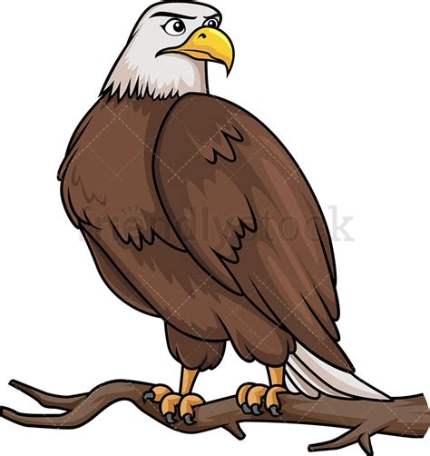 Bald Eagle On Tree Branch Cartoon Clipart Vector Friendlystock