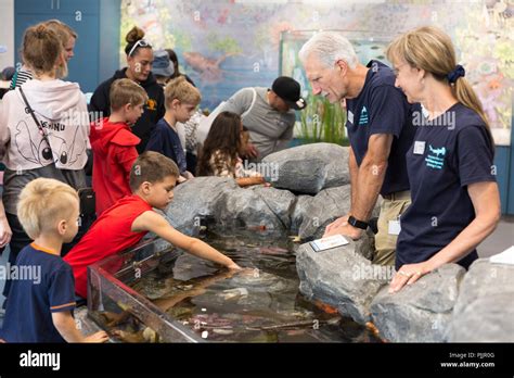 Aquarium Touch Tank Hi Res Stock Photography And Images Alamy