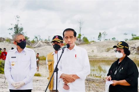 Rehabilitasi Kerusakan Hutan Jokowi Tanam Pohon Di Bekas Tambang