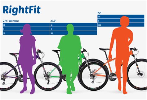 43cm Bike Frame Height Off 63