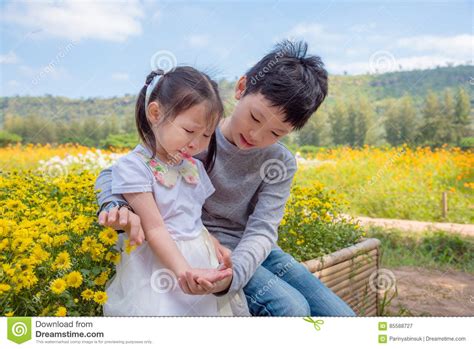 Boy Is Comforting His Crying Sister In Park Stock Image