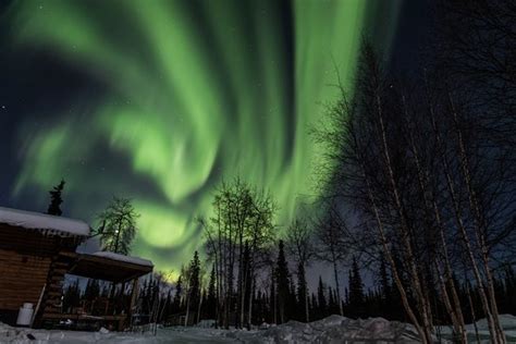 Alaska Aurora Adventures Fairbanks 2022 Qué Saber Antes De Ir Lo