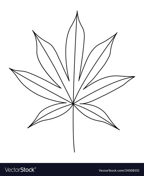 Japanese Maple Leaf Black Outline Royalty Free Vector Image