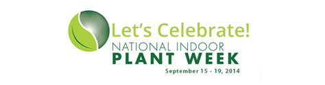 How Did You Celebrate National Indoor Plant Week