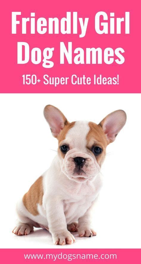 If you have a french breed, such as the poodle, briard, french bulldog, or dogue de bordeaux, you have so many names to choose from. Names | Girl dog names, Puppies names female, Puppy girl names