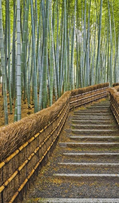 Download Tablet Wallpapers Amazon Kindle Fire Bamboo
