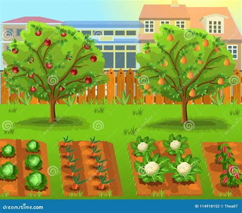 Cartoon Garden With Vegetables And Fruit Trees Stock Vector