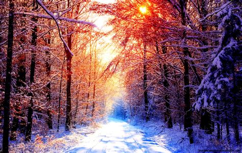 Winter Snow Scenes Sunset Amazing Wallpapers