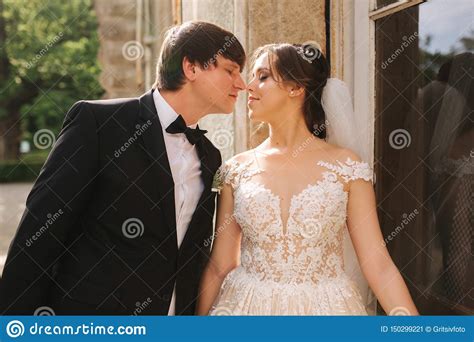Portrait Of Happy Groom And Bride Beautiful Wedding Couple Stock Image