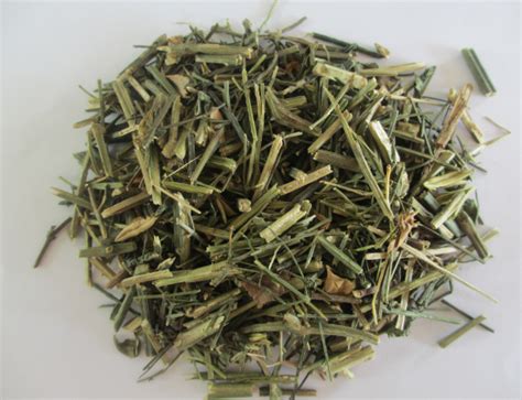 Bài thuốc cây xạ đen hỗ trợ phòng ngừa và hỗ trợ điều trị ung thư, tăng cường sức khỏe rất đơn giản mà vô cùng hiệu quả đây là loại dược liệu không có độc tính vậy nên có thể sử dụng như trà để uống hằng ngày. Xuyên Tâm Liên - Công năng và chủ trị Phòng khám Đông y ...