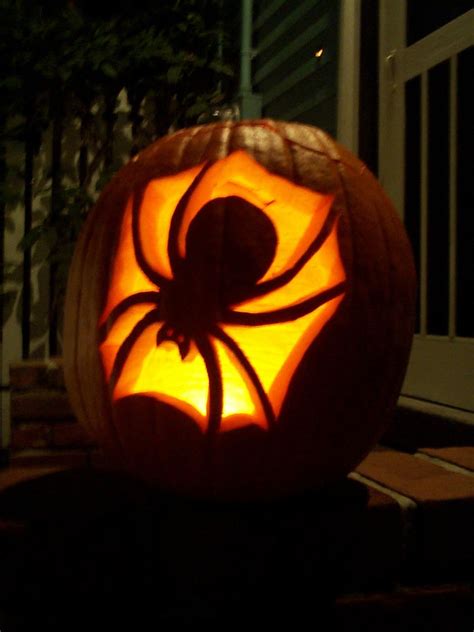 Spider Pumpkin Pumpkin Carving Halloween Pinterest Design Talk