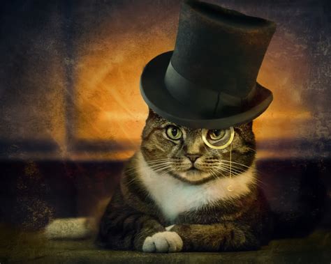Cats In Fancy Hats Cat Vgr