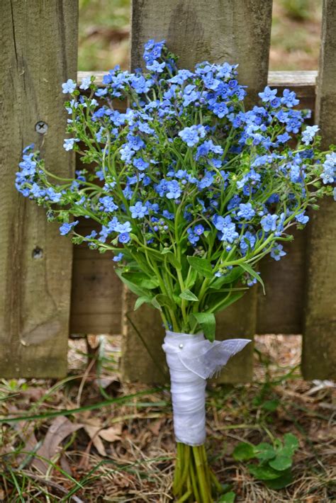 Blue wedding flowers may sound unusual. Wedding Flowers from Springwell: Blue Flowers for Late ...