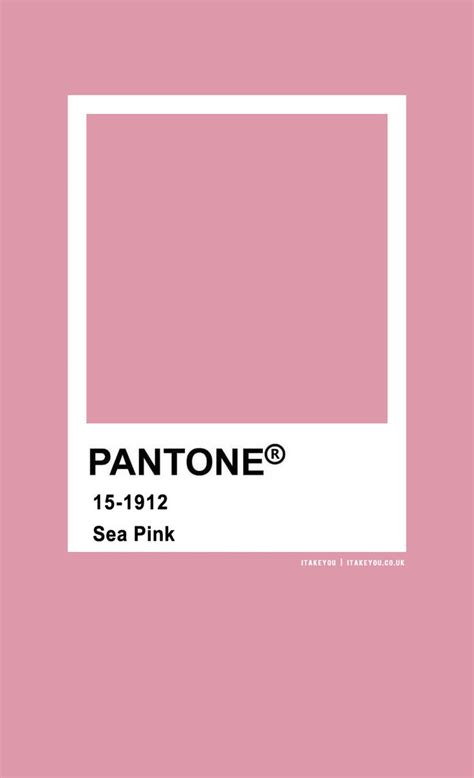 Vibrant Sea Pink Pantone Color
