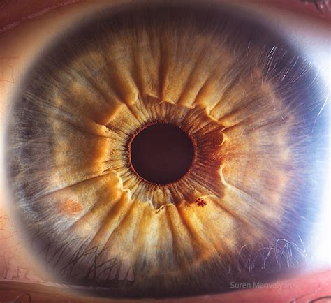 your beautiful eyes amazing close up photos of human eyes by suren manvelyan