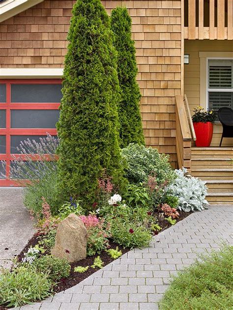 These 5 Fast Growing Evergreen Trees Quickly Transform Your Landscape