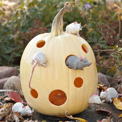 29 Easy Pumpkin Carving Ideas For The Best Jack O Lanterns On The