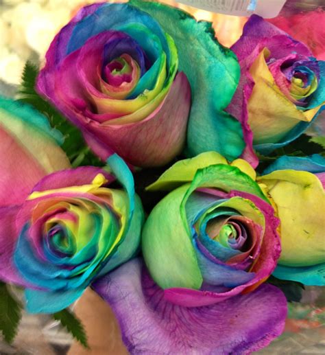 Tie Dye Roses Tie Dye Roses Beautiful Things Inspired Flowers