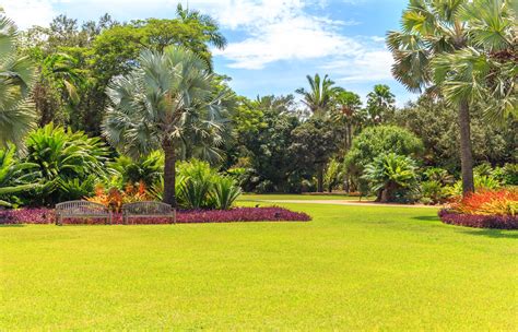 Pictures Of Florida Gardens Image To U