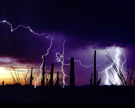 Saguaros And Lightning H Darr Beiser